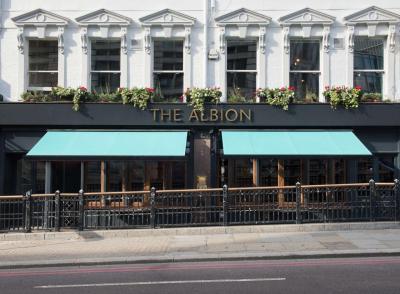 The Albion - image 1