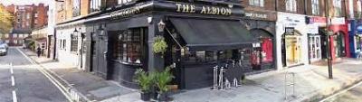 The Albion - image 1