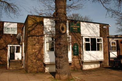 The Almond Tree - image 1