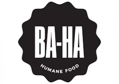 BA-HA - image 1