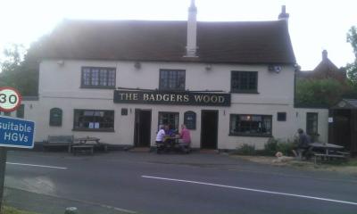The Badgers Wood - image 1