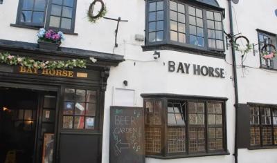 The Bay Horse - image 1