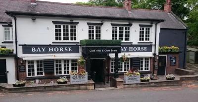 Bay Horse - image 1