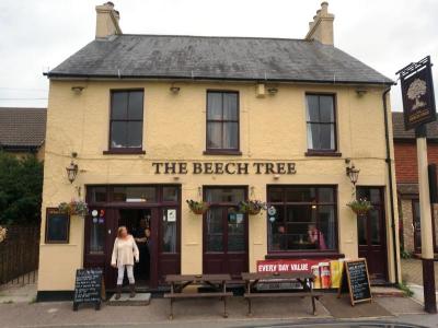 The Beech Tree - image 1