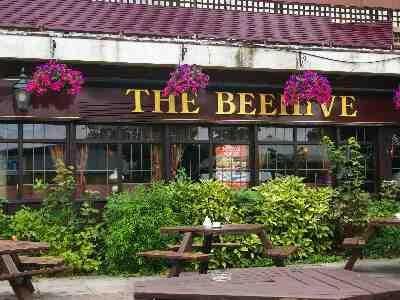 Beehive - image 1