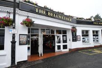 The Bellwether - image 1