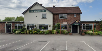 Bent Brook Hungry Horse - image 1