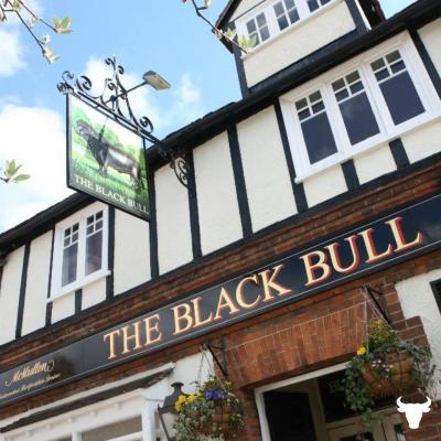 Black Bull - image 1