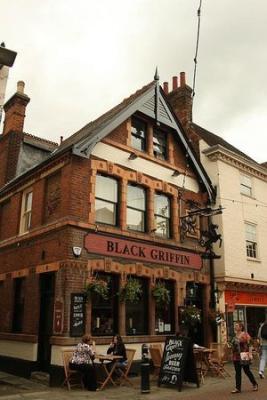 The Black Griffin - image 1