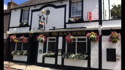 Black Horse - image 1