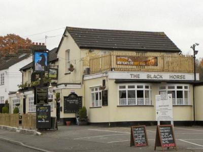 The Black Horse - image 1