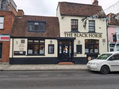 The Black Horse - image 1