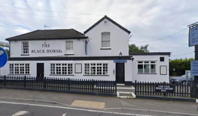 The Black Horse - image 1