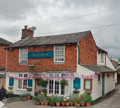 Black Horse - image 1