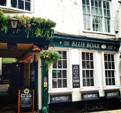 Blue Boar - image 1