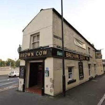 Brown Cow - image 1