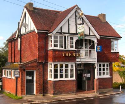 The Bull - image 1 The Bull - image 1