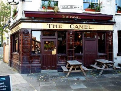 The Camel - image 1