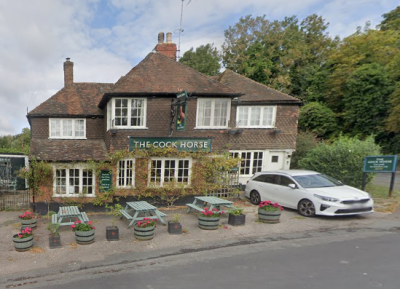 The Cock Horse - image 1 The Cock Horse - image 1