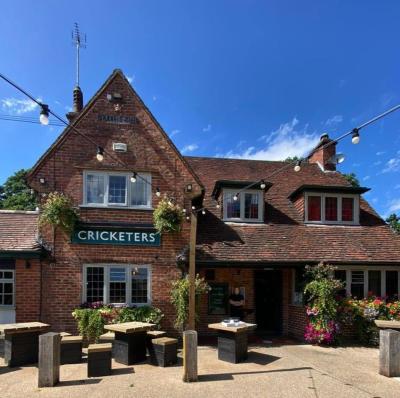The Cricketers - image 1