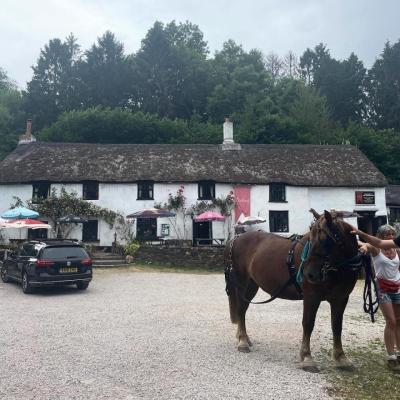 The Cridford Inn - image 1