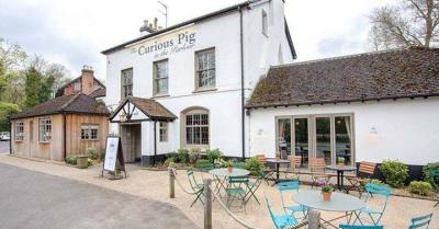 Curious Pig in the Parlour - image 1