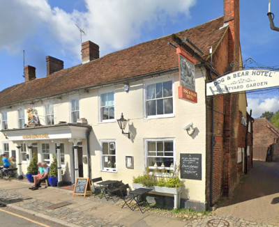 The Dog And Bear Hotel - image 1 The Dog And Bear Hotel - image 1