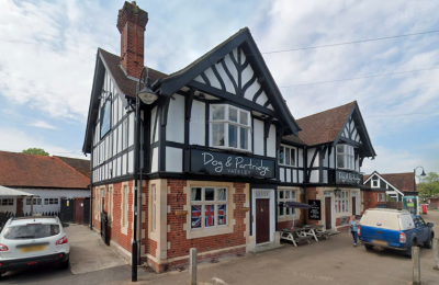 Dog And Partridge - image 1