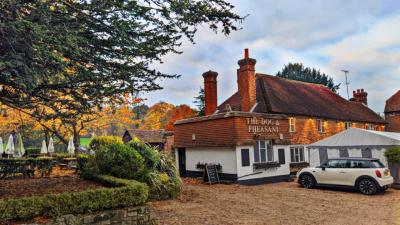 The Dog and Pheasant - image 1