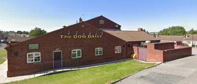 Dog Daisy - image 1