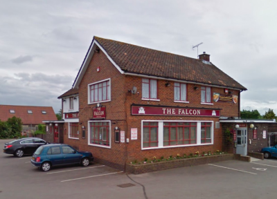 The Falcon - image 1