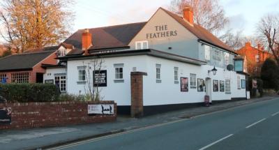 The Feathers Inn - image 1