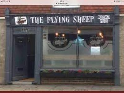 The Flying Sheep - image 1