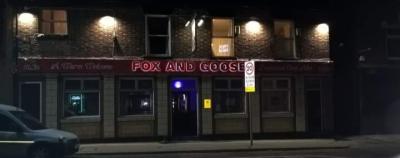 Fox and Goose - image 1