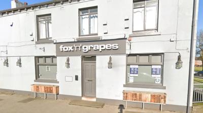 Fox And Grapes - image 1