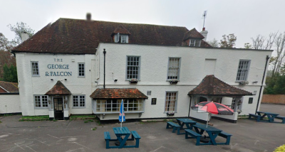 George And Falcon - image 1