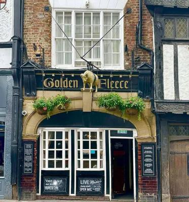 The Golden Fleece - image 1