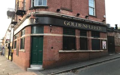 Golden Fleece - image 1