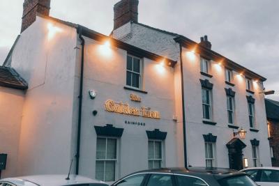 The Golden Lion - image 1