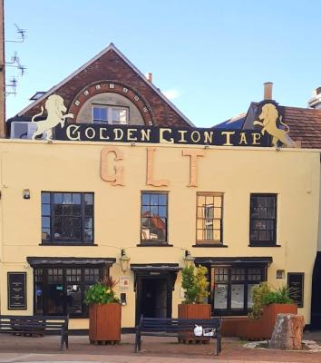 Golden Lion Tap - image 1