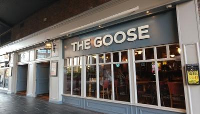 Goose - image 1