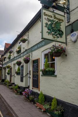 The Green Dragon - image 1