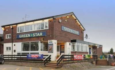 The Green Star - image 1