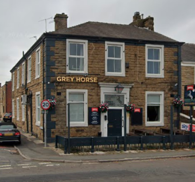 Grey Horse - image 1