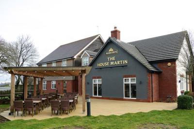 The House Martin - image 1