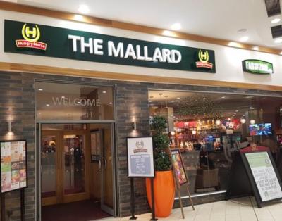 The Mallard - image 1