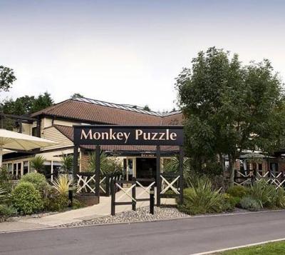 The Monkey Puzzle - image 1
