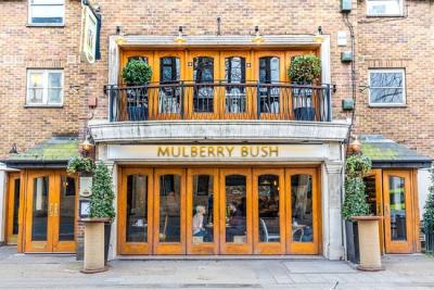 The Mulberry Bush - image 1