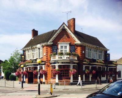 New Fairlop Oak - image 1