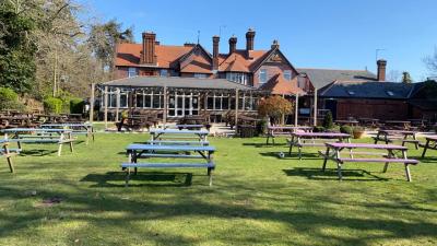 NEW FOREST HOTEL - image 1
